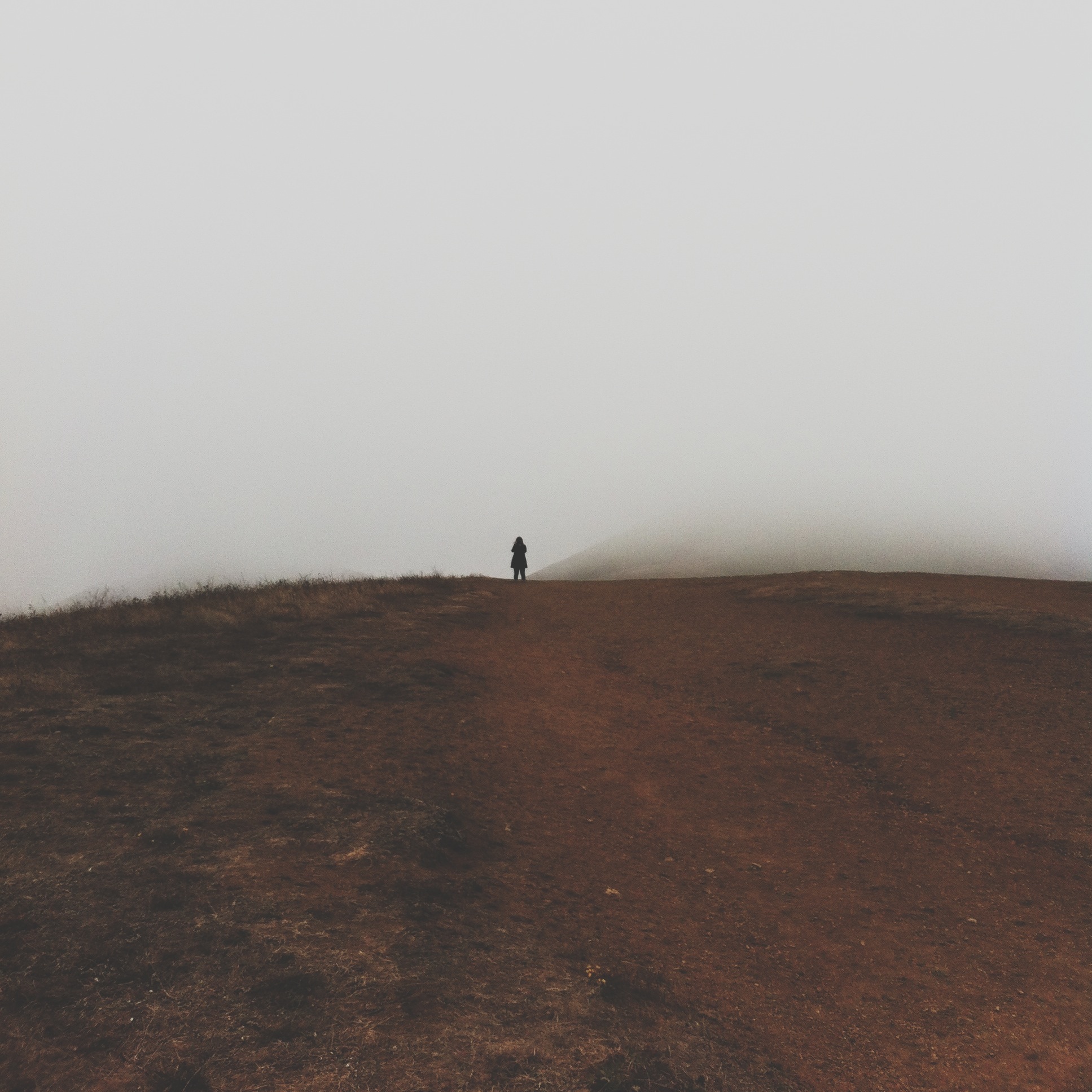 Into the fog